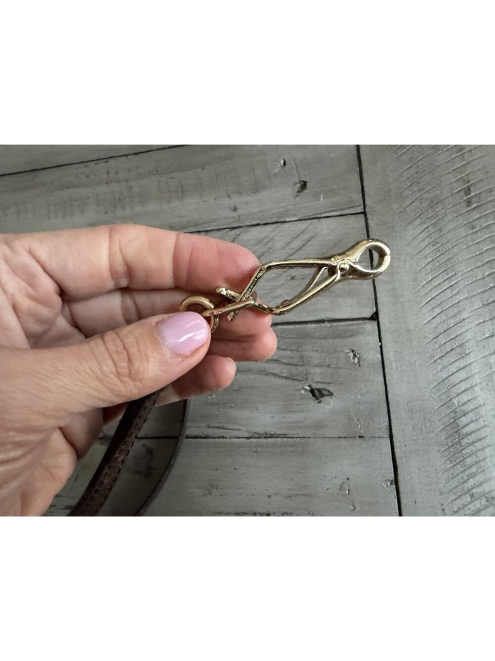 LOUIS VUITTON Baxter PM Dog Collar & Leash Small dog - Picture 8 of 8